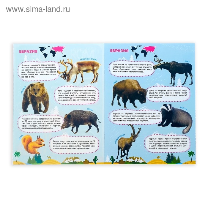 Наклейки «Мои первые энциклопедии», набор 4 шт. по 8 стр., формат А4 Наклейки «Мои первые энциклопедии», набор 4 шт. по 8 стр., формат А4