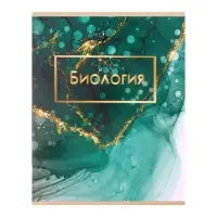 Набор предметных тетрадей Calligrata &laquo;Мрамор светлый&raquo;, 10 предметов, 48 листов, со справочным материалом, обложка из мелованного картона