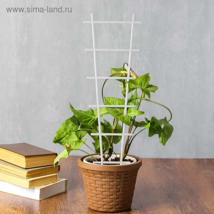 Шпалера, 56 × 19 × 0.5 см, пластик, цвет МИКС, «Лесенка» Шпалера, 56 × 19 × 0.5 см, пластик, цвет МИКС, «Лесенка»