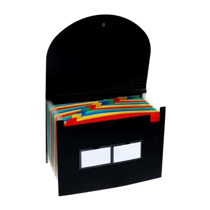 Папка для бумаги А4 на резинке пластиковая Calligrata, 12 отделений, черная Папка для бумаги А4 на резинке пластиковая Calligrata, 12 отделений, черная