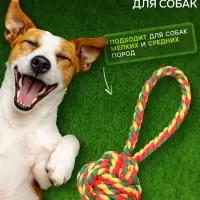 Игрушка канатная &laquo;Мяч с петлей&raquo;, до 65 г, цвет МИКС