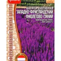 Семена Шалфей Западно-Фрисландский Фиолетово-Синий дубравный (West-Friesland Violet Blue) 20шт.  12.