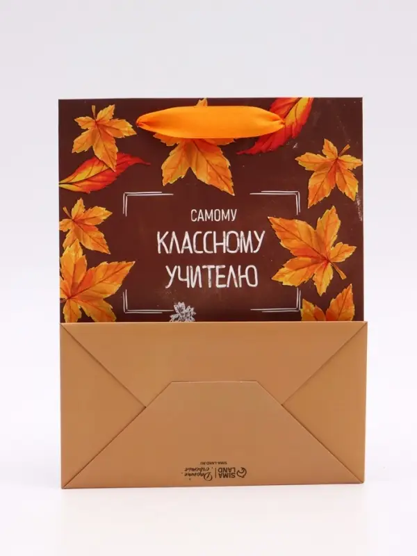 Набор ламинированных вертикальных пакетов &laquo;Классному учителю&raquo;, 3 шт, MS 18 &times; 23 &times; 10 см
