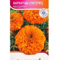 Семена Бархатцы Мандарин 0,3 г Семена Бархатцы Мандарин 0,3 г
