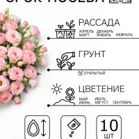 Семена цветов Эустома "ABC Мисти пинк" F1, 10 шт.