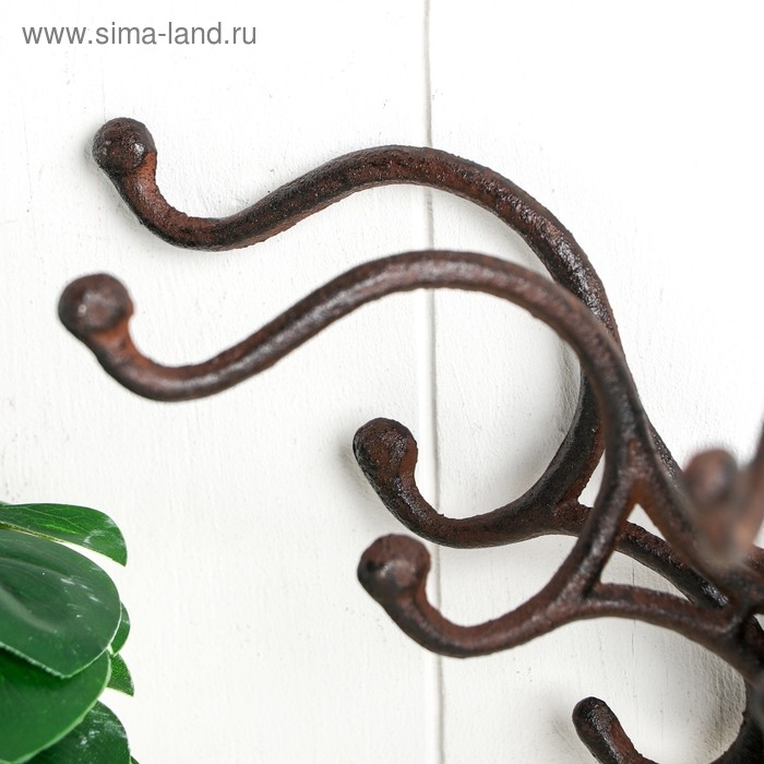 Крючки декоративные металл Крючки декоративные металл "Изгибы" 18х19,5х34 см