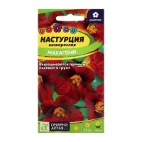 Семена цветов Настурция "Махагони", низкорослая, Сем. Алт, ц/п, 1 г