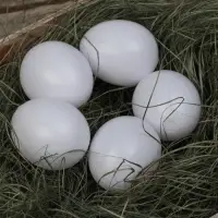 Яйцо искусственное подкладное, для кур, 4×5 см, 1 шт., белое, Greengo
