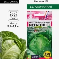 Семена Капуста белокочанная &laquo;Мегатон&raquo;, F1, 10 шт., &laquo;Семена Алтая&raquo;