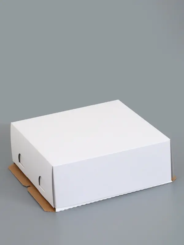 Кондитерская упаковка, коробка для десертов и тортов, 28&times;28&times;10 см