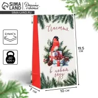 Пакет подарочный без ручек «Счастья в Новом году», 10×19.5×7 см