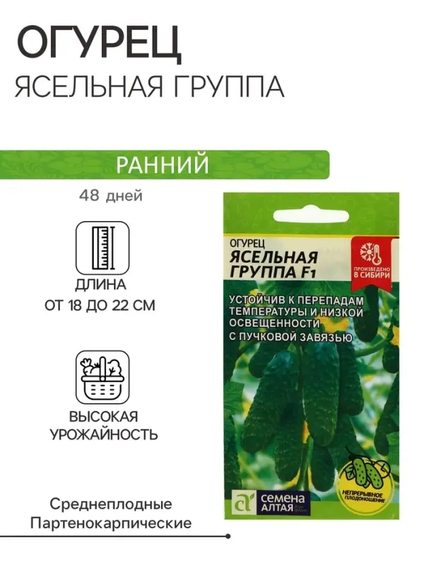 Семена Огурец "Ясельная Группа",  F1, 5 шт