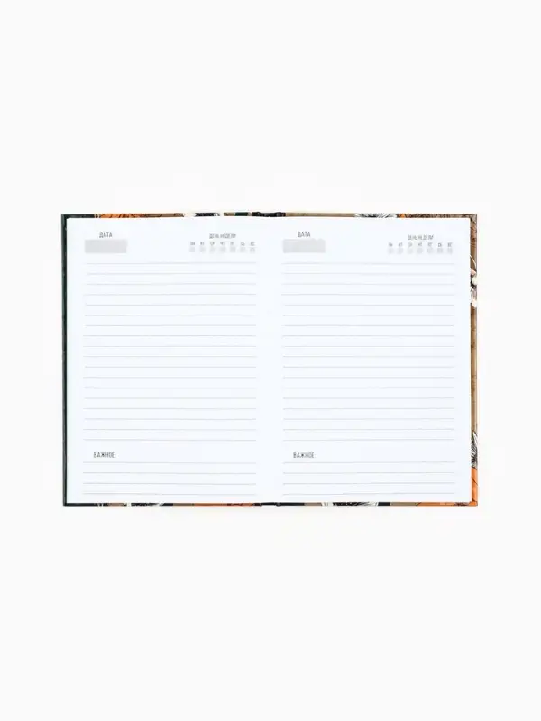 Ежедневник недатированный, А5, 80 л., в подарочной коробке, твердая обложка &laquo;Любимому учителю&raquo;