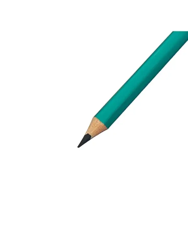 Карандаши Calligrata, цветные, 24 цвета, эконом, шестигранные, пластиковые, пенал-футляр и 3 чернографитных карандаша с ластиком в ПОДАРОК, МИКС