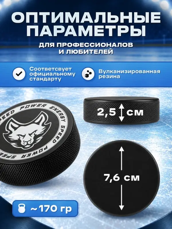 Шайба хоккейная Winter Star, взрослая, d=7.6 см