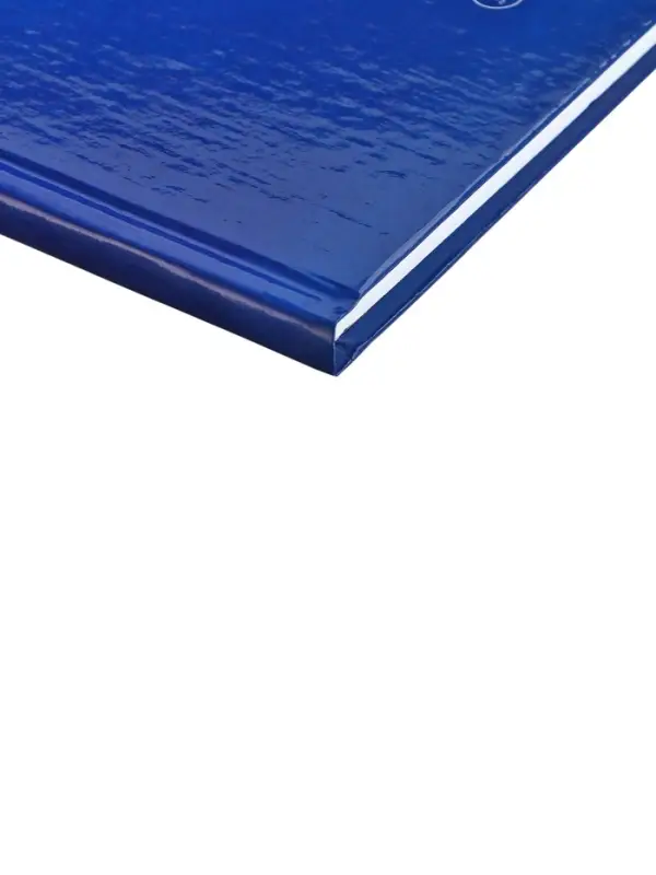 Книга учета, 96 листов, обложка картон 7БЦ, блок газетный, клетка, РФ, сине-красный