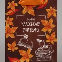 Пакет подарочный ламинированный, упаковка, &laquo;Классному учителю&raquo;, MS 18&times;23&times;10 см