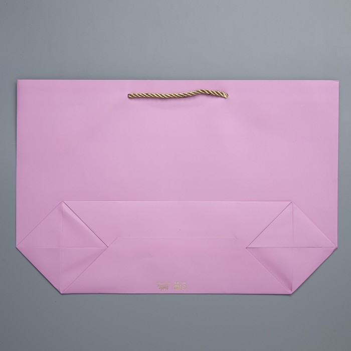 Пакет подарочный, упаковка, «Present», 30 х 27.5 х 12 см Пакет подарочный, упаковка, «Present», 30 х 27.5 х 12 см