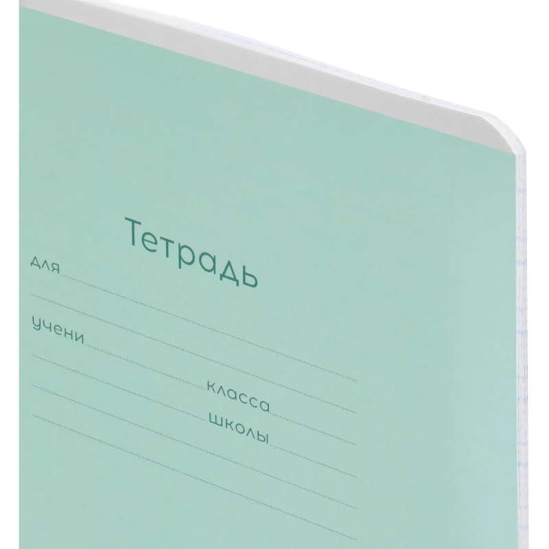 Тетрадь ЛИНИЯ 24л.проз.пласт.обл.plastic cover КЛАССИКА NEW ЗЕЛЕНАЯ,24-1414