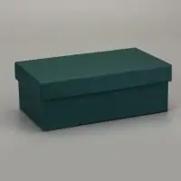 Набор подарочных коробок 10 в 1 &laquo;Темно-зеленый&raquo; 30&times;19&times;12 - 12&times;6.5&times;4 см