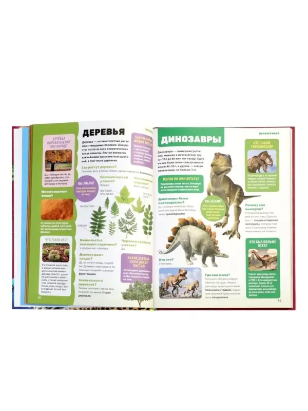 Энциклопедия обо всем. 850 вопросов и ответов