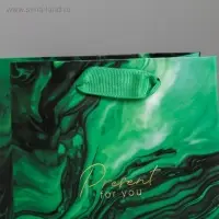 Пакет подарочный ламинированный, упаковка, &laquo;Present for you&raquo;, S 12&times;15&times;5.5 см