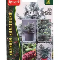 Семена цветов Ель Ликиангинская  15шт.  12.29 г.