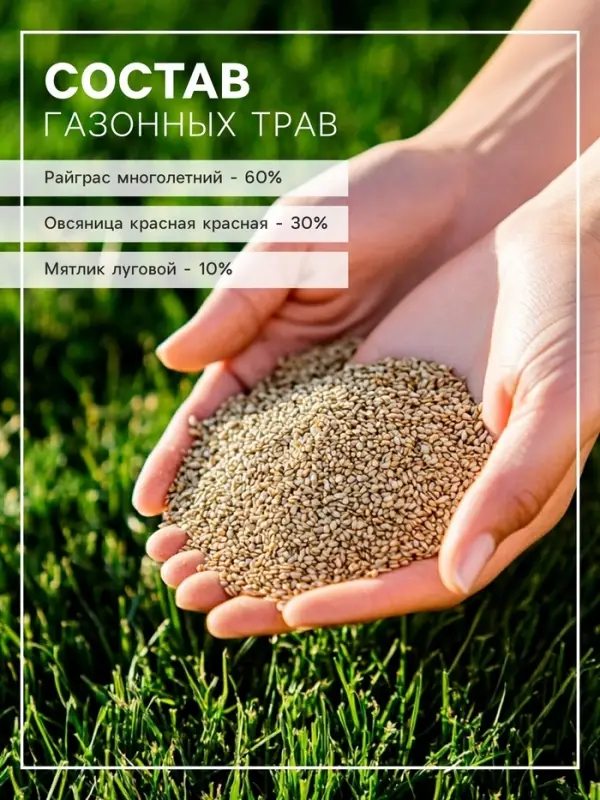 Газонная травосмесь для быстрого восстановления газона POWERSEED, 30 г