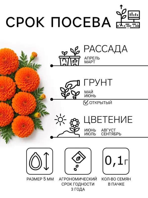 Семена цветов Бархатцы прямостоячие &laquo;Оранжевый принц&raquo;, О, 0.1 г