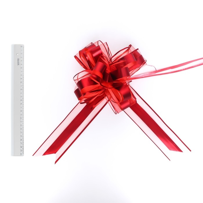 Бант-шар №6.5 Бант-шар №6.5