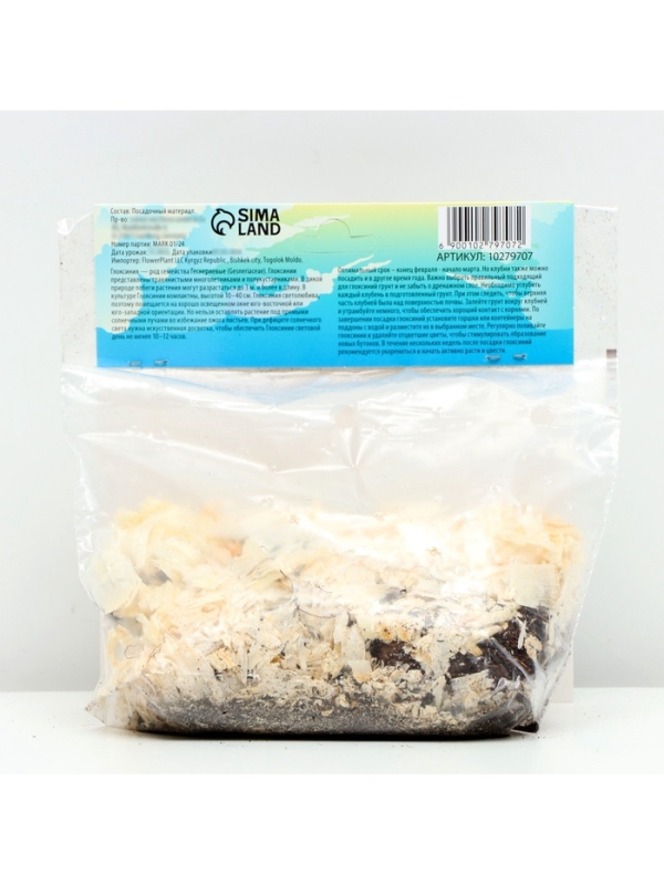 Глоксиния «Монт Бланк», многолетник, комнатный, луковица в пакете с перфорацией, р-р 5/6, 2 шт.