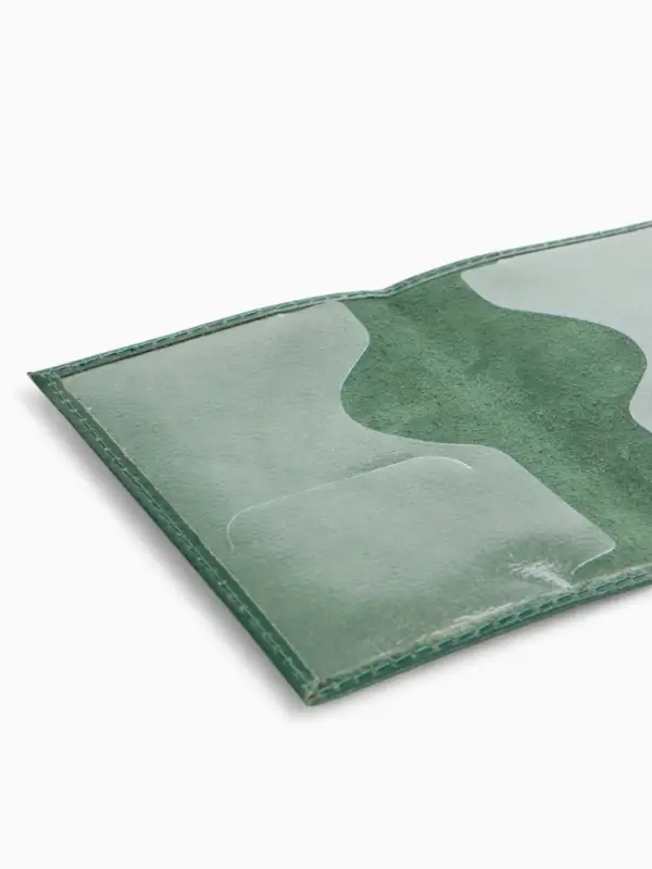 Обложка для паспорта, гладкая, тиснение серебряной фольгой, зелёная