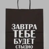 Пакет подарочный &laquo;Завтра тебе будет стыдно&raquo;, 24&times;14&times;28 см, крафт