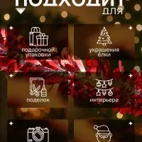Мишура новогодняя &laquo;Зимнее волшебство. Венера&raquo;, d=9 см, 200 см, МИКС