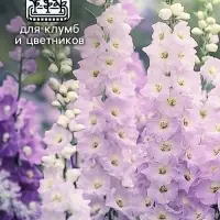 Семена цветов Дельфиниум "Джиневер культурный", ц/п,  0,05 г Семена цветов Дельфиниум "Джиневер культурный", ц/п,  0,05 г