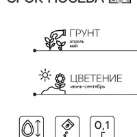 Семена цветов Иберис "Конфетти", 0,1 г