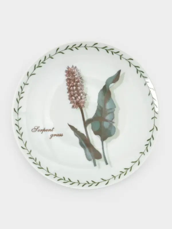 Тарелка Добрушский завод &laquo;Ботаника&raquo;, d=20 см, фарфор, белая, рисунок МИКС