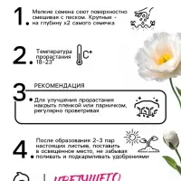 Семена цветов Эустома &laquo;Сапфир&raquo;, F1, белая крупноцветковая, 5 шт., &laquo;Аэлита&raquo; селекция PanAmerican Seed