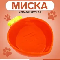 Миска &laquo;Морковь&raquo;, 30 мл, 10&times;13&times;3.8 см, керамика, оранжевая