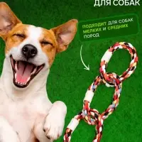Игрушка для собак канатная &laquo;3 кольца&raquo;, тренировочная, до 36 см, до 120 г