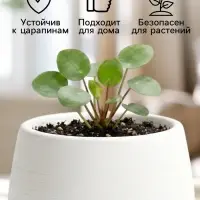 Горшок цветочный &laquo;Япония&raquo;, 125 мл, d=8 см, h=6.5 см, пластиковый, с поддоном, бело-графитовый