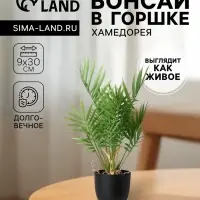 Искусственный цветок в горшке &laquo;Хамедорея&raquo;, 9&times;30 см