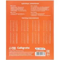 Тетрадь 18 листов в клетку Calligrata KIDS, блок №2, 5 В МИКС