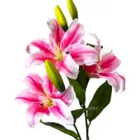 Цветы искусственные &laquo;Лилия галант&raquo;, h=66 см, d=13 см, розовые