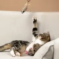 VETTA Игрушка для домашних животных, набор 2 шт, пластмасса, мышки