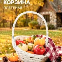 Корзина плетёная, 25&times;25&times;13 см, ручка h=17 см, ива, белая, Greengo
