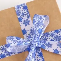 Лента атласная &laquo;Объёмные снежинки&raquo;, 25 мм, 5 м, белая