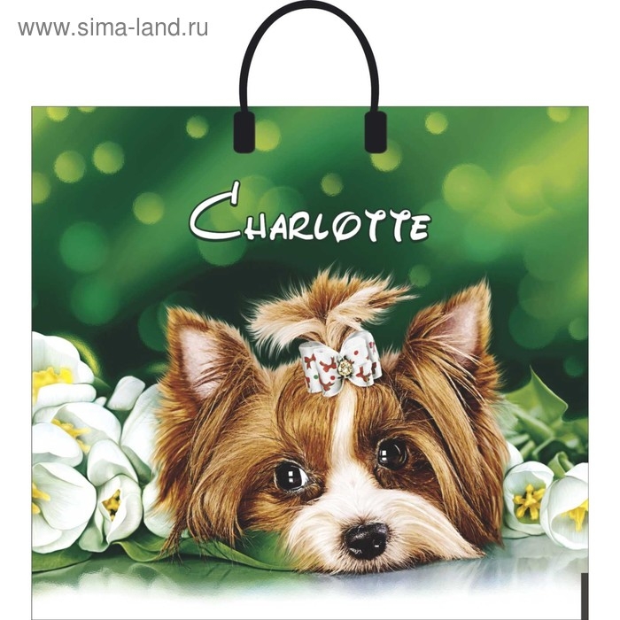 Пакет  Пакет "Шарлотта", полиэтиленовый с пластиковой ручкой, 38 х 35 см, 90 мкм