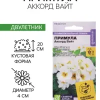 Семена Примула "Аккорд Вайт", ц/п,  5 шт