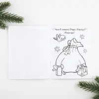 Подарочный набор новогодний, письмо от Деда Мороза, блокнот-раскраска, грамота &laquo;Волшебный единорог&raquo;